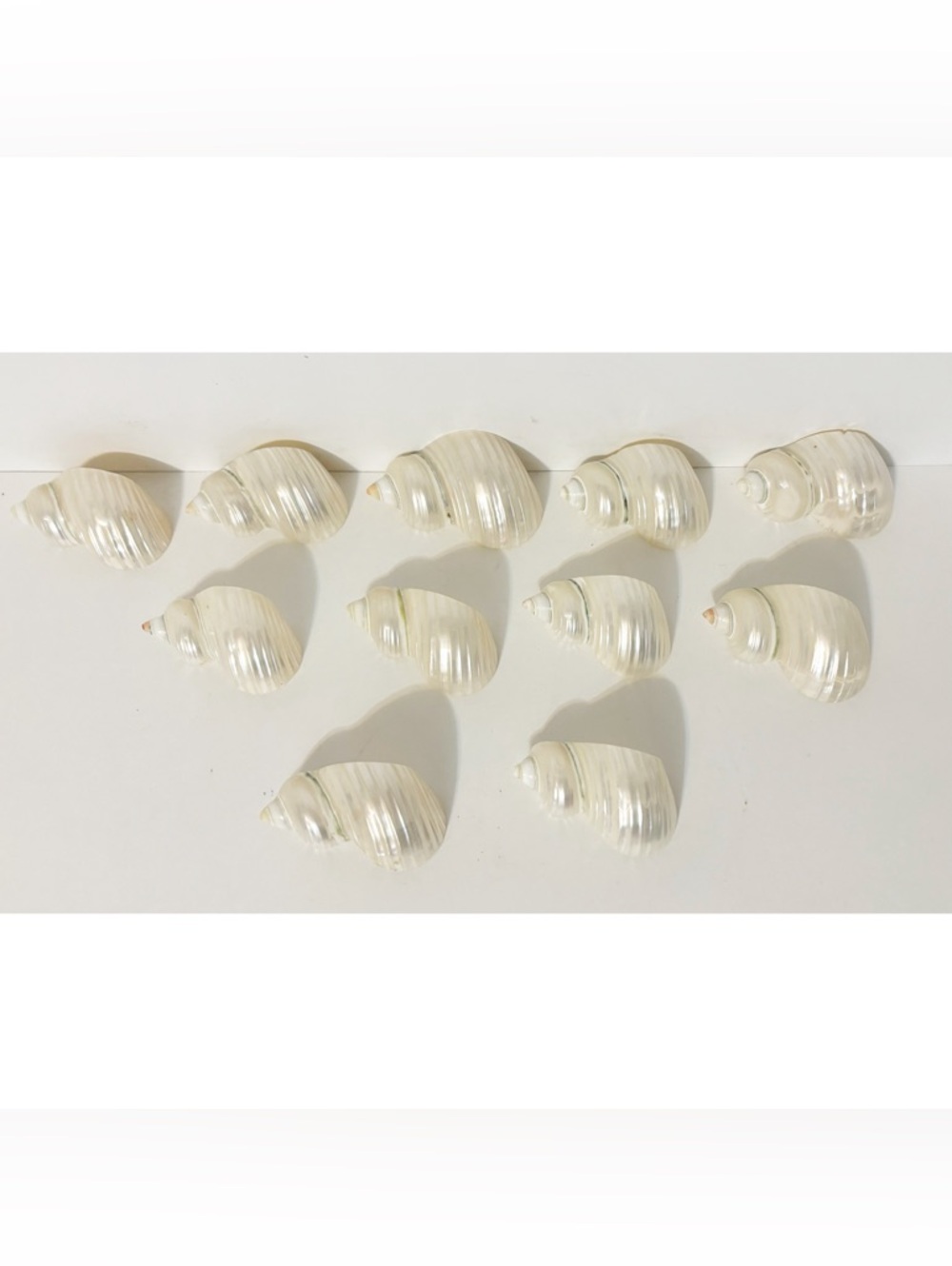 11 Vintage Sea Shell Napkin Rings, Table Decor, Color - Pearl